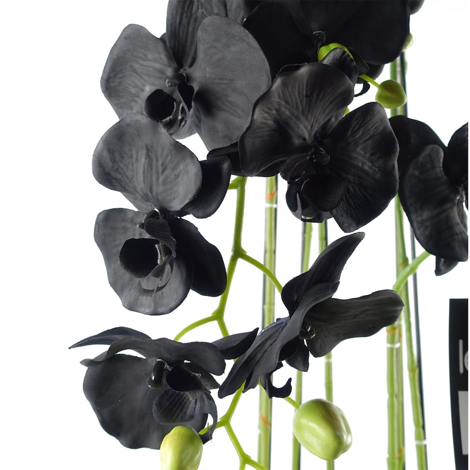 image 1 of Large Black Orchid Plant Artifcial 41 REAL TOUCH flowers Botanik