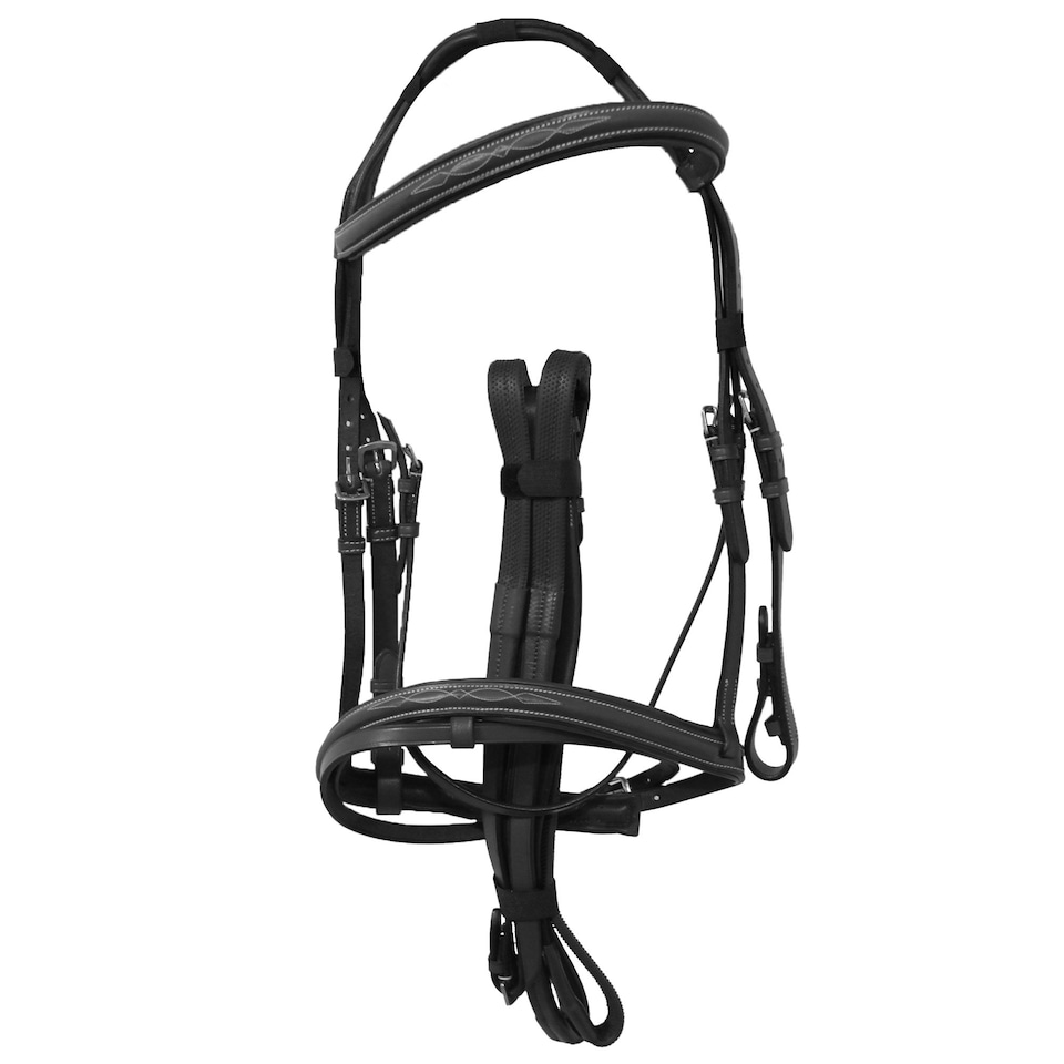 image 1 of Avignon Padded Leather Horse Bridle - Black - Full
