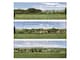 image 3 of Gaugemaster Scenics Open Field Small Photo Backscene (1372x152mm)