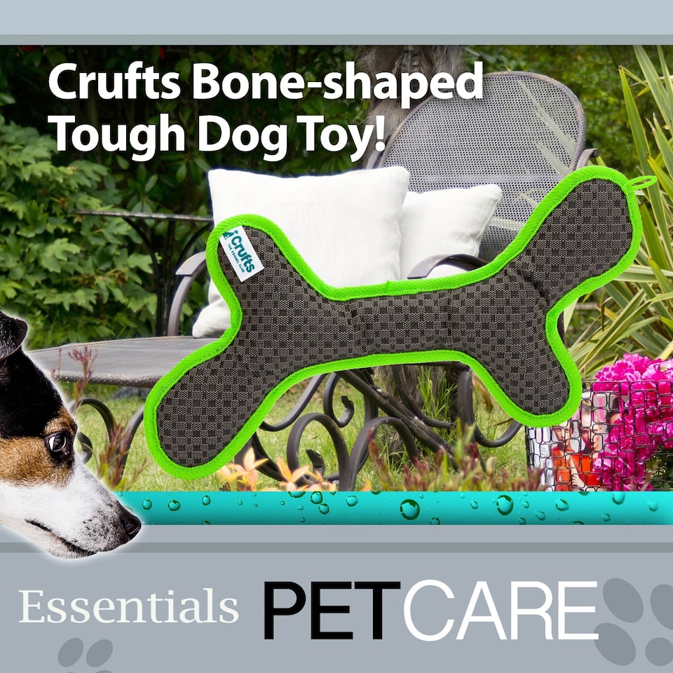 image 1 of PMS Crufts Bone Dog Toy - Tough Squeaker Toy, Green and Grey