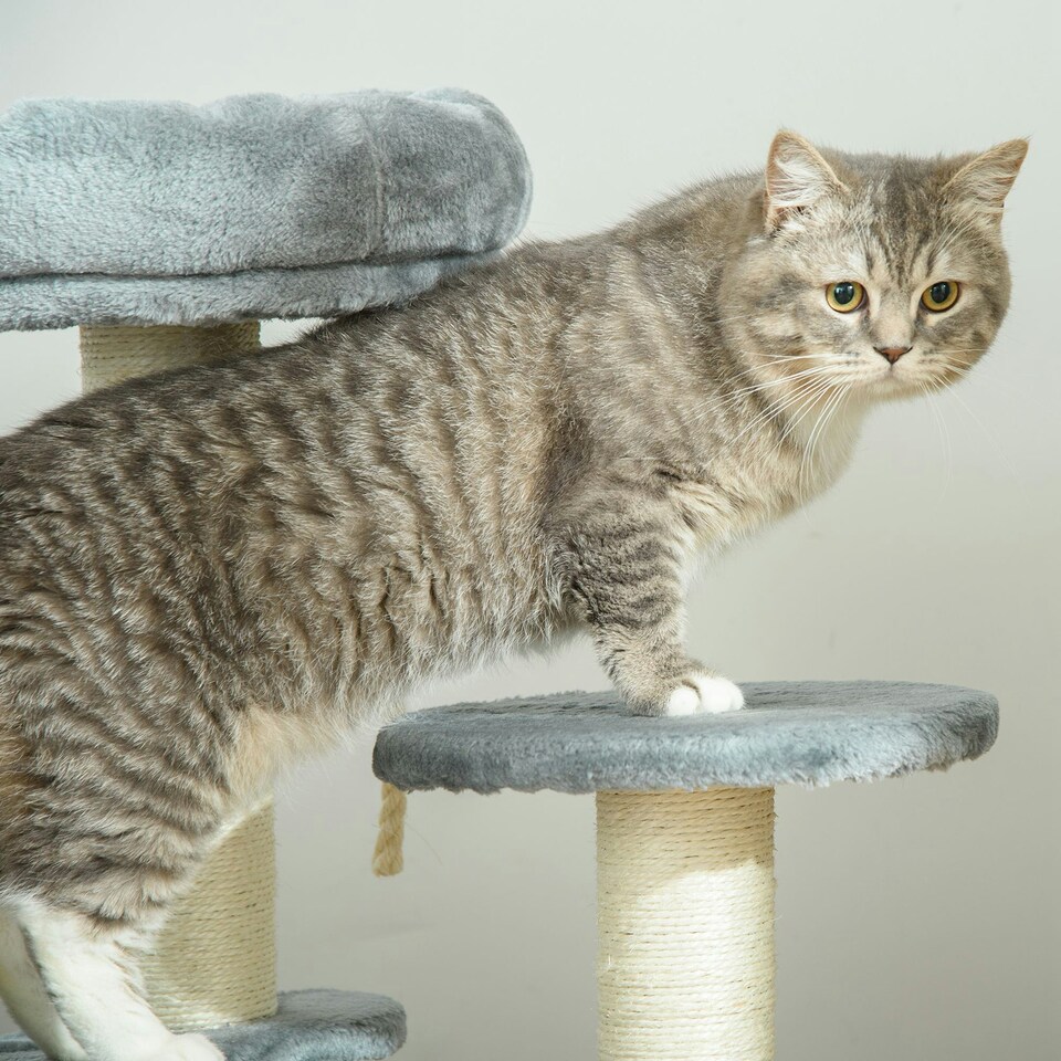 image 1 of PawHut 65cm Cat Tower, Small Cat Condo with Sisal Posts, Rope, Perches Grey