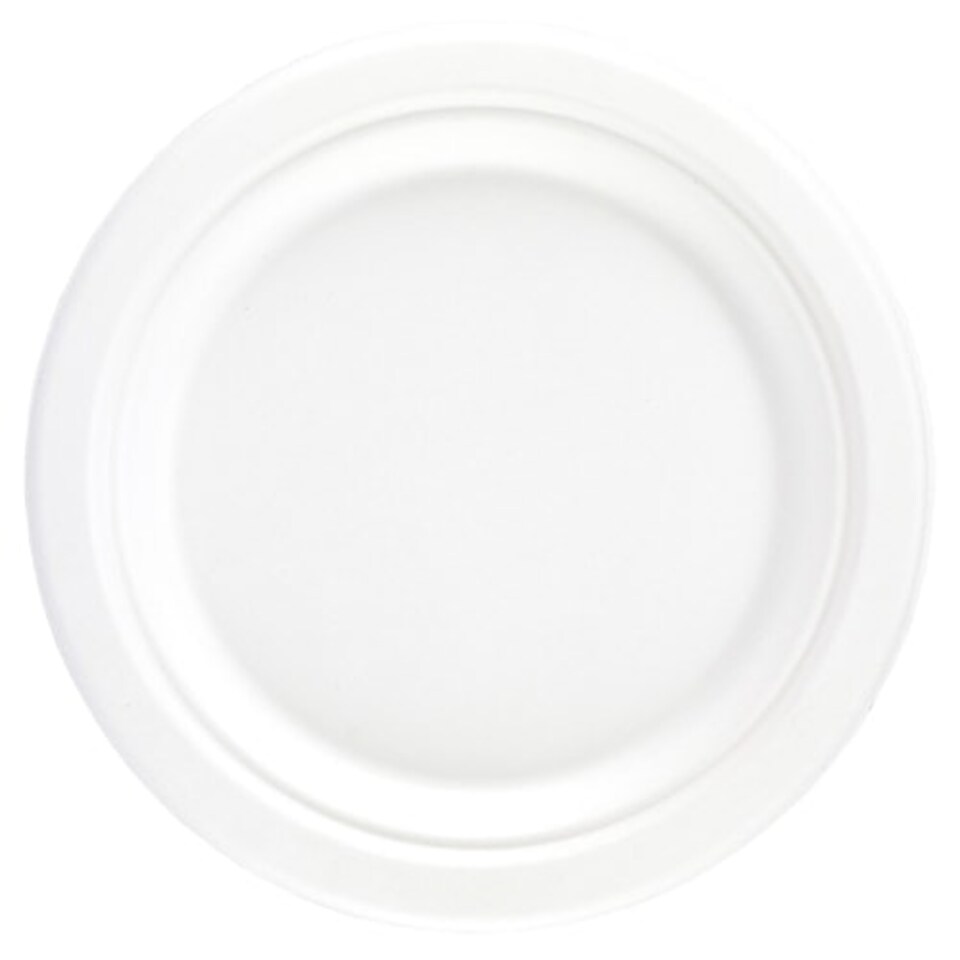 White Round Compostable Bagasse Plates 26cm - Pack of 25