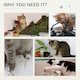 image 5 of PawHut 130cm Cat Tree Activity Center Condo with Scratching Post Light Grey