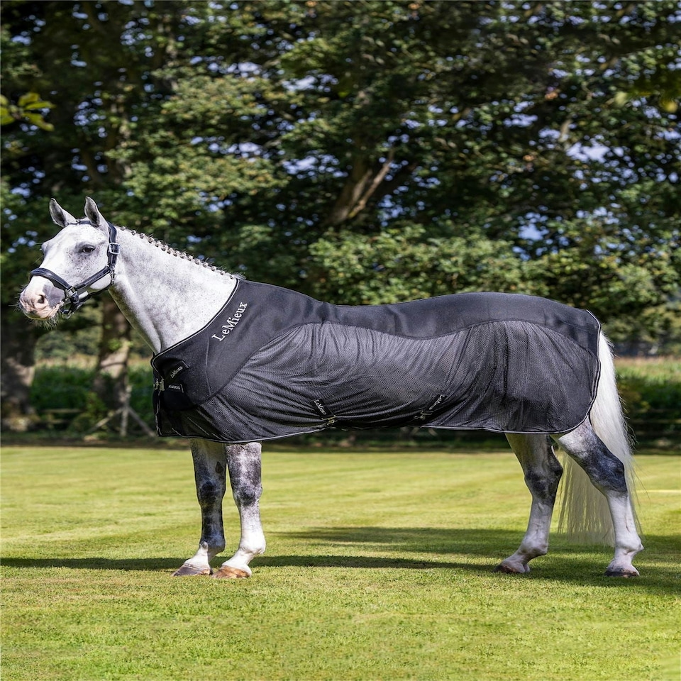 image 1 of LeMieux Kudos Mesh Sports Cooler Rug Black | 6ft 0