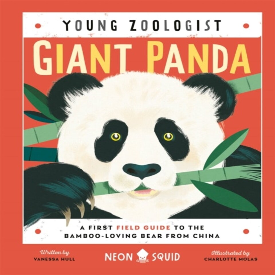 Giant Panda (young Zoologist)