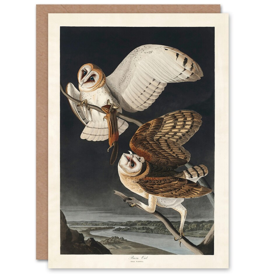 image 1 of John James Audubon Art Card Birds of America Barn Owl