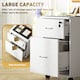 image 3 of HOMCOM 2 Drawer Lockable Filing Cabinet with Wheels, Mobile Filing Cabinet for Home Office, Small Printer Stand, White Wood Grain