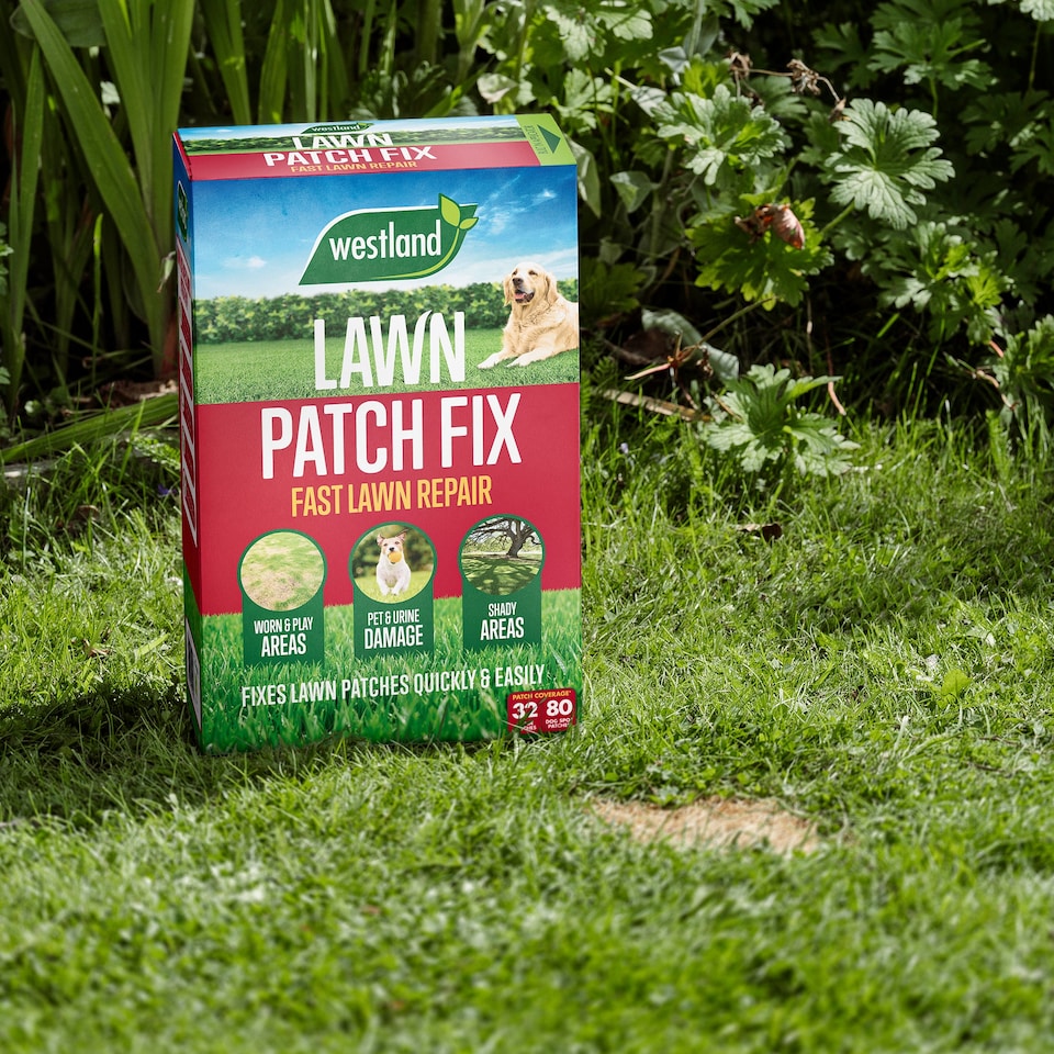 image 1 of Westland Ultimate Lawn Rescue Bundle - 80sqm bundle includes 80smq Aftercut All in One, 32 Patch Fix and 25sqm Gro Sure Smart Seed