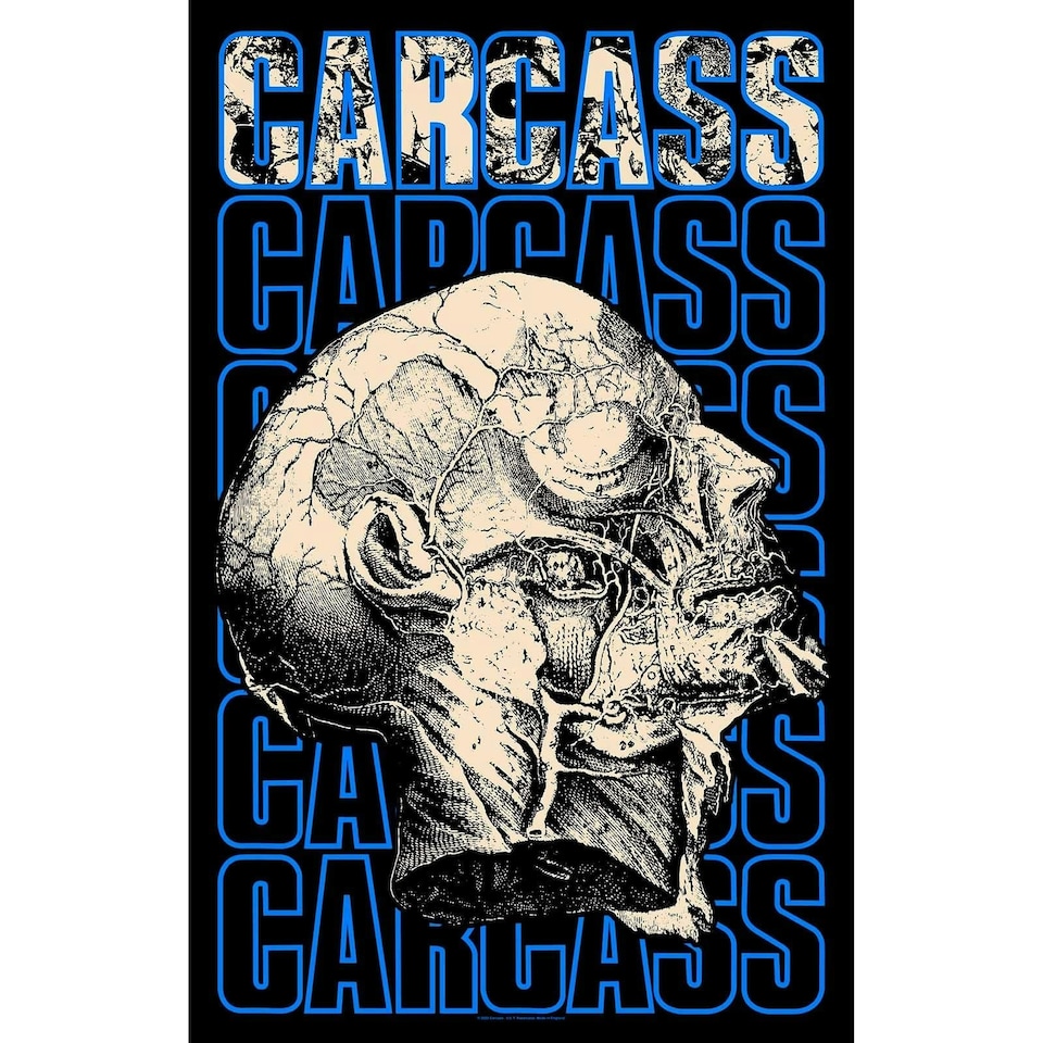 Carcass Textile Poster: Necro Head - Posters & Textiles
