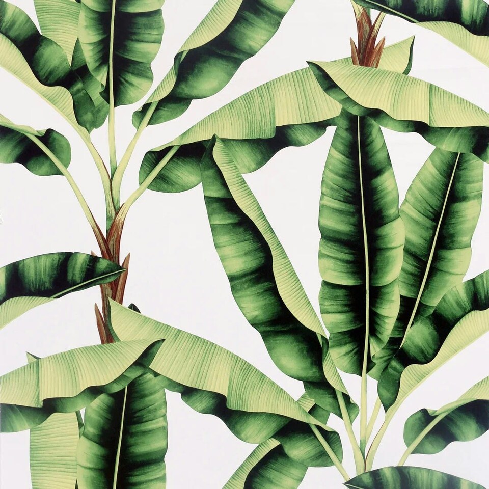 image 1 of Musa Wallpaper in Green Multi