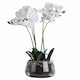 image 1 of Orchid in Glass Pot Artificial Flower - Plastic - L21 x W21 x H61 cm - White