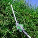 image 9 of Gracious Gardens 18V 2.4m Cordless Telescopic Long Reach Hedge Trimmer 1 Battery | Green | Green | 1