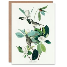 John James Audubon Art Card Warbling Flycatcher and Magnolia Flowers