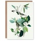 image 1 of John James Audubon Art Card Warbling Flycatcher and Magnolia Flowers