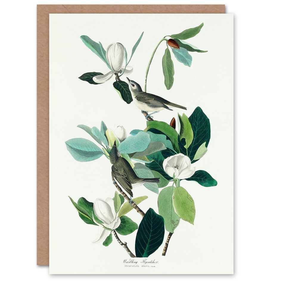 image 1 of John James Audubon Art Card Warbling Flycatcher and Magnolia Flowers