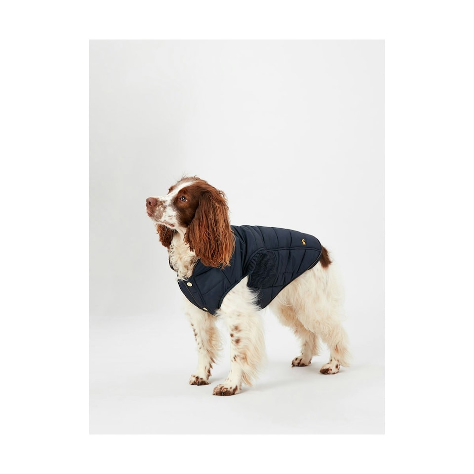 image 1 of Joules Cherington Dog Coat - Black - L