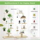 image 10 of COSTWAY 2 Pcs Wooden 8-Tier Plant Stand Rack Half Moon Shelf Brown