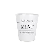 Minimalist Design Small Ceramic Mint Plant Pot