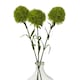 image 3 of Hill Interiors Dianthus Artificial Plant - Light Green - 53cm