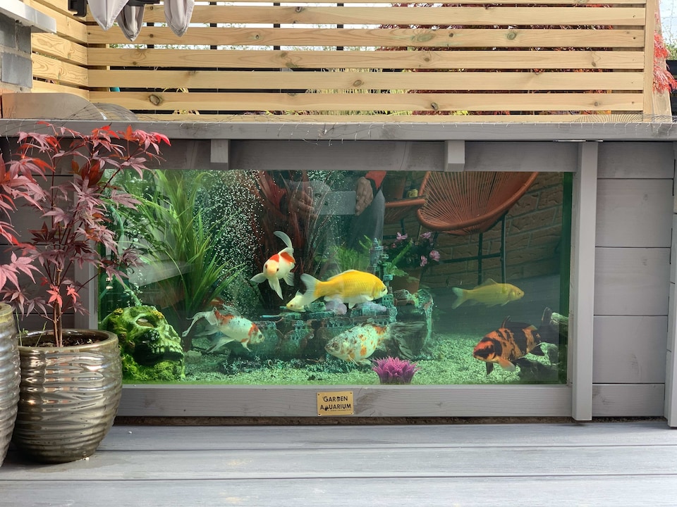 image 1 of Raised square pond with large windows Lotus Clear View Garden Aquarium in Grey