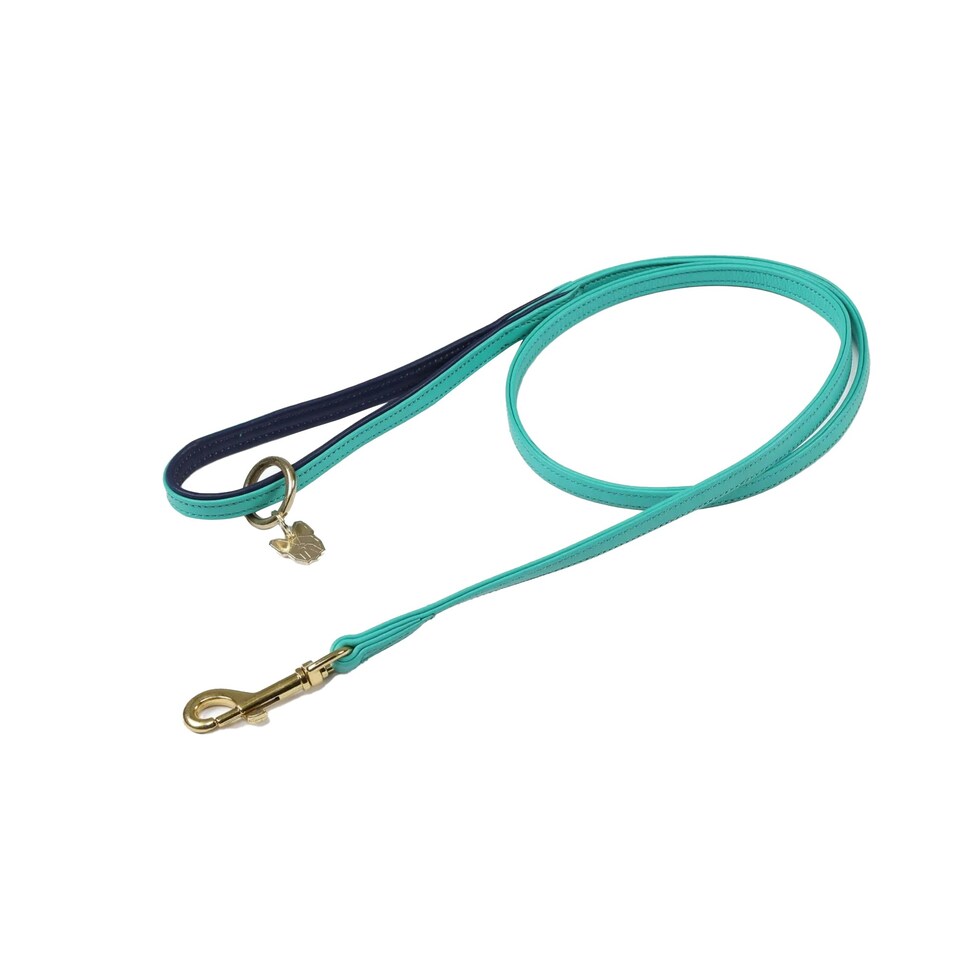 image 1 of Digby & Fox Leather Padded Dog Lead - Aqua - 110cm x 1.5cm