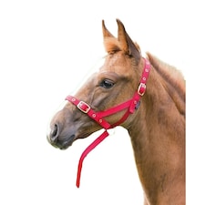 Shires Foal Slip Headpiece - Red - Foal/Mini