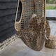 image 3 of Leopard Print (Blanket)