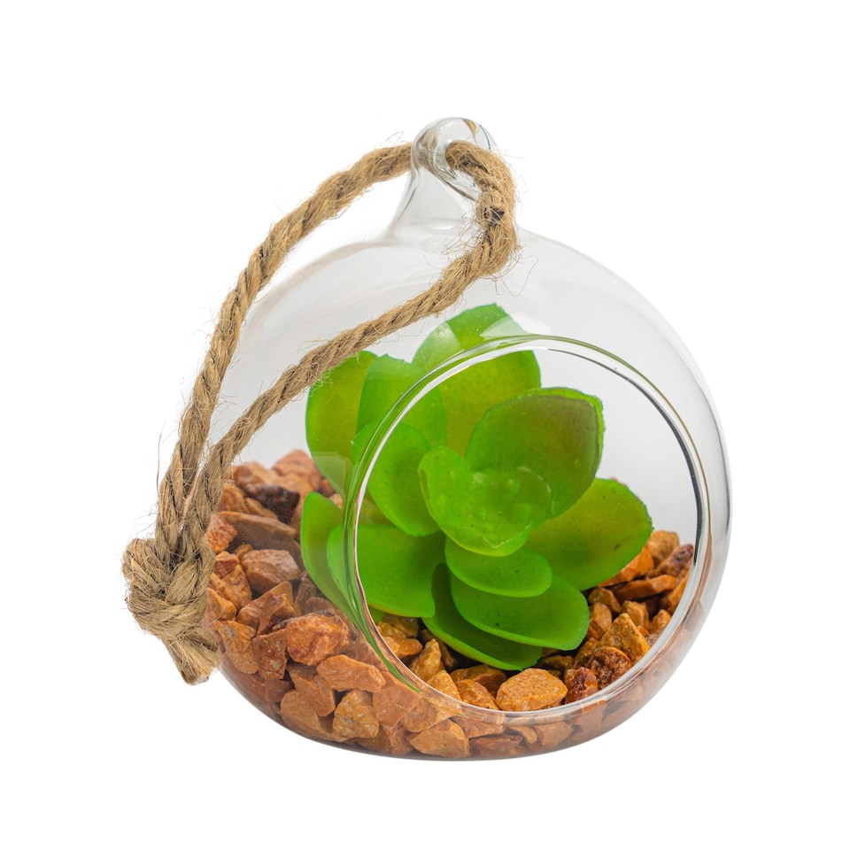 image 1 of Nicola Spring Hanging Glass Terrarium - 8cm - Clear
