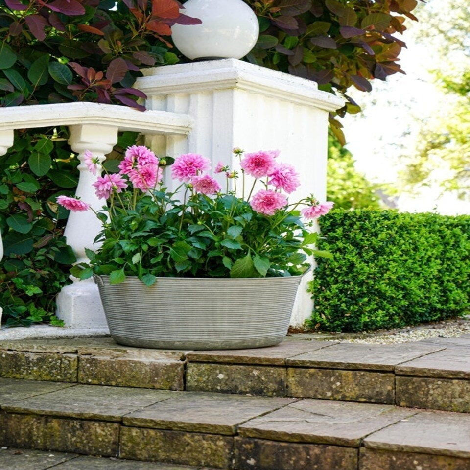 image 1 of Outdoor Matlock Oval Planter - Iron - L58.5 x W58.5 x H34 cm - Metal Silver