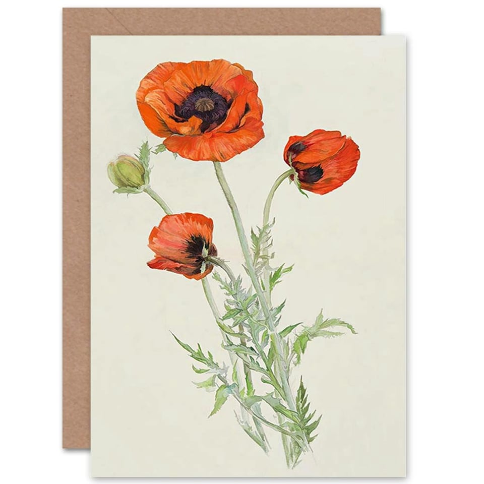 image 1 of Abstract Hilma Af Klint 1890S Untitled Art Card