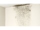 image 7 of SmartSeal - Anti-Mould Paint - Brilliant White (2.5L) For Bathroom, Kitchen and Bedroom Walls & Ceilings - Protection Against Mould