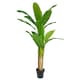 image 1 of 180cm Artificial Banana Tree Tropical Plant