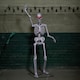 image 10 of 5ft (1.5m) Full Body Halloween Standing Skeleton with Posable Joints & Red LED Eyes