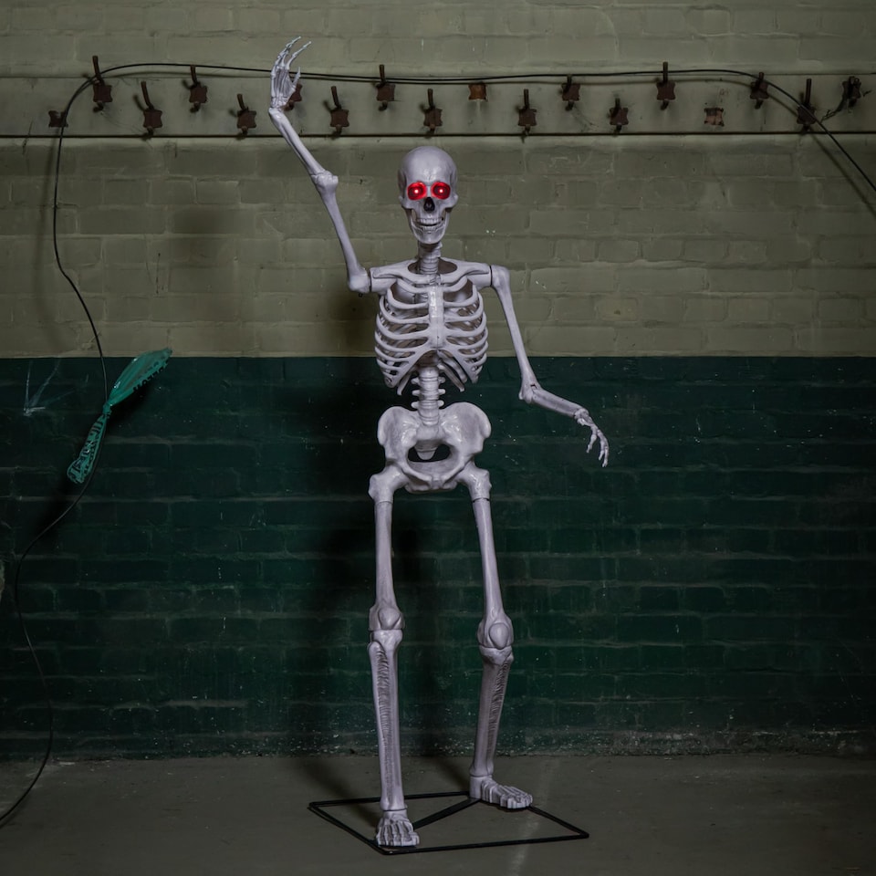 image 1 of 5ft (1.5m) Full Body Halloween Standing Skeleton with Posable Joints & Red LED Eyes