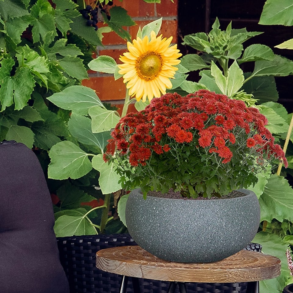 image 1 of Textured Concrete Effect Grey Bowl Outdoor Garden Planter D30 H14 cm, 9.9 ltrs Cap.