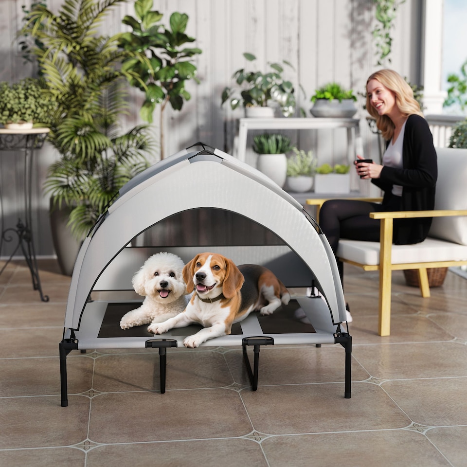 image 1 of PawHut Portable Elevated Dog Bed with Removable Canopy | Grey | Light Grey