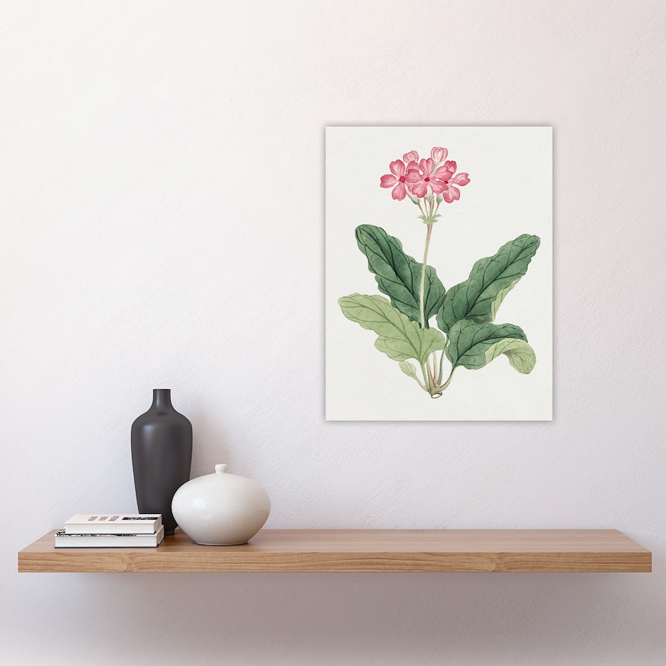 image 1 of Sakura Flower Wall Art Print Vintage Japanese Botanical 12x16"