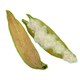image 2 of 3Pk Small Animals Hamsters, Mice, Gerbils Naturals Play n Bedding Pods