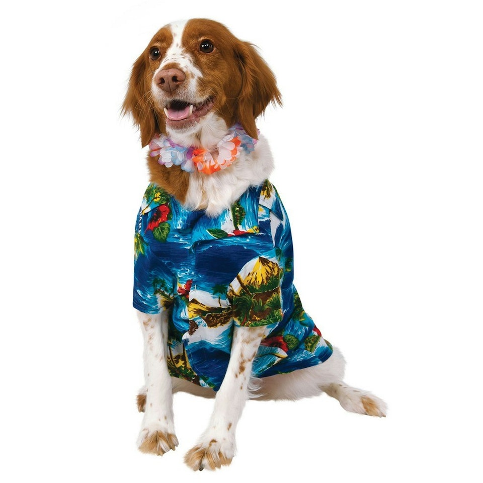 Bristol Novelty Luau Dog Costume - Multicoloured - S