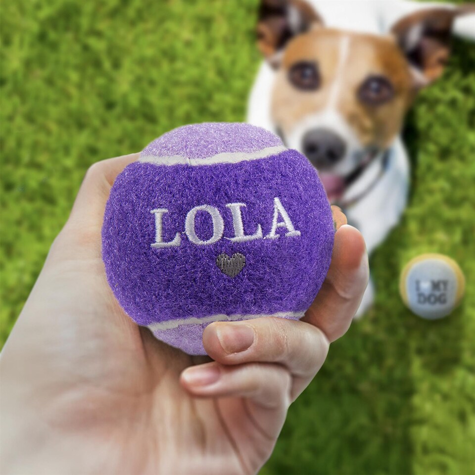 image 1 of Pre-Personalised Dog Ball Gift Pack 2pcs Purple Lola