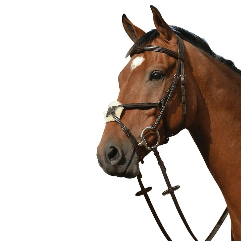 Collegiate Syntovia+ Padded Raised Figure 8 Bridle - Brown - Full