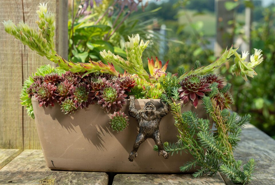 image 1 of Orangutan Plant Pot Hanger - L11.5 x W7 x H5.5 cm