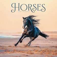 Horses Calendar 2026, Wall Calendars, Month To View, Animals, Gift