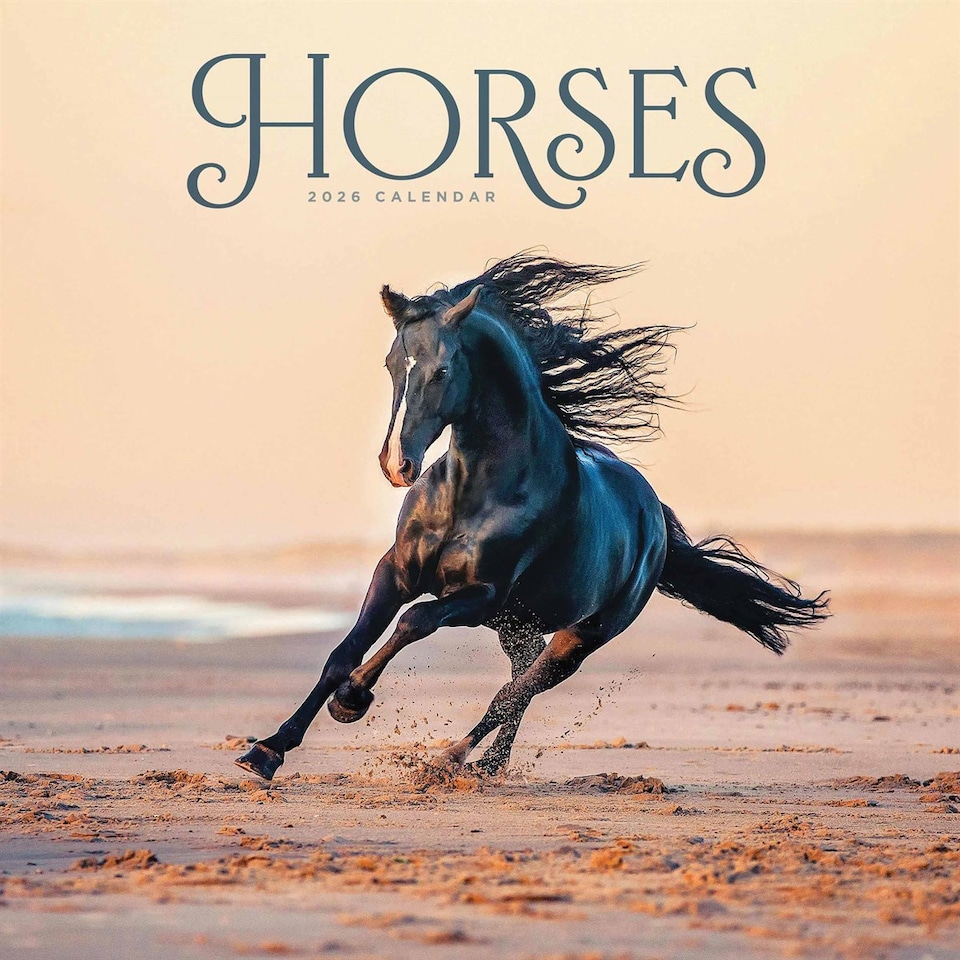 image 1 of Horses Calendar 2026, Wall Calendars, Month To View, Animals, Gift