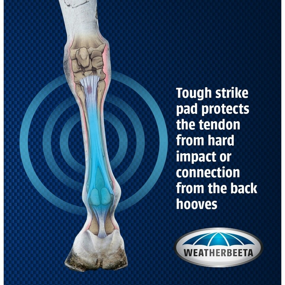 image 1 of Weatherbeeta Lite Open Front Boots - White - Cob