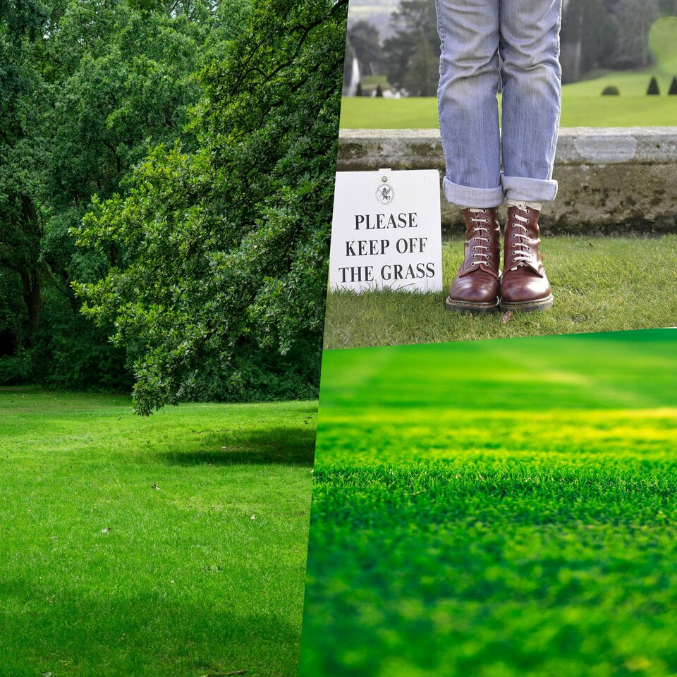 image 1 of Pegdev Smart Lawn Grass Seed High Yield Resilient Versatile Ideal for Gardens 2.5kg