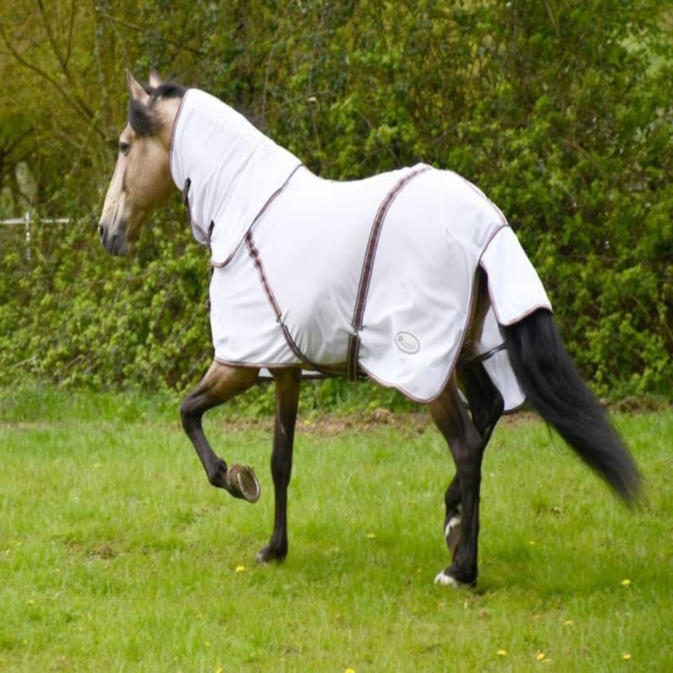 image 1 of Rhinegold Kenya Mesh Fly Rug + Neck Cover White | Size: 5ft 0
Colour: White