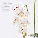 image 3 of Homescapes White Orchid 56 cm Phalaenopsis in Ceramic Pot