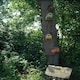 image 2 of Decorative Nest Box Wood Certified Green