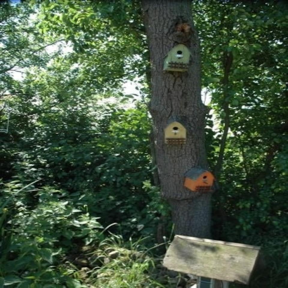 image 1 of Decorative Nest Box Wood Certified Green